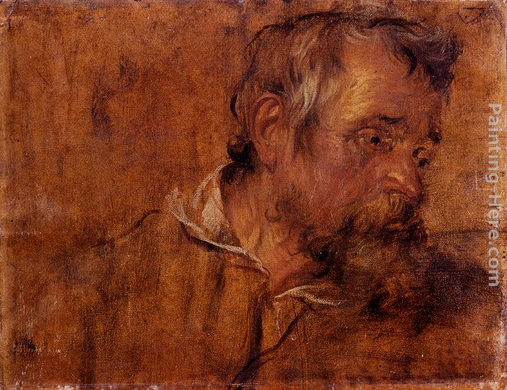 Profile Study Of A Bearded Old Man painting - Sir Antony van Dyck Profile Study Of A Bearded Old Man art painting
